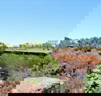 Bladensburg National Park - Maitland Accommodation