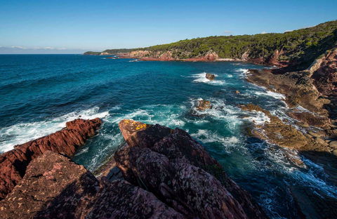 Boyds Tower To Saltwater Creek Walking Track - Maitland Accommodation 0