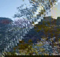 Canyon Picnic Area - Maitland Accommodation