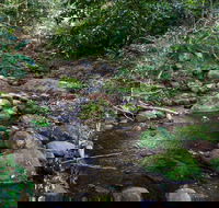 Cascades picnic area - Maitland Accommodation