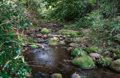 Cascades Picnic Area - Maitland Accommodation 0