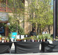 Clare Show Market - Maitland Accommodation