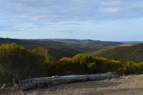 Cleve Hills Scenic Drive & Lookout - Maitland Accommodation 0