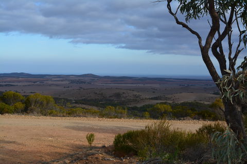 Cleve Hills Scenic Drive & Lookout - Maitland Accommodation 1