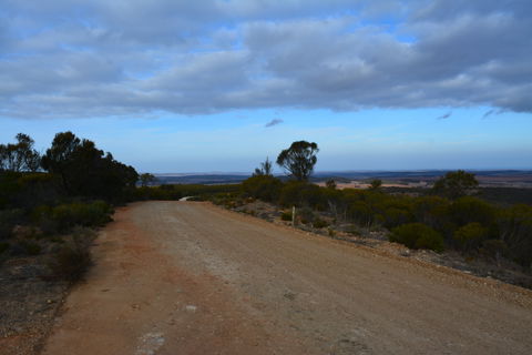 Cleve Hills Scenic Drive & Lookout - Maitland Accommodation 2