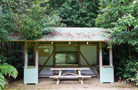 Coachwood Picnic Area - Maitland Accommodation 0