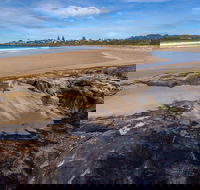 Cormorant Beach - Maitland Accommodation