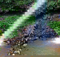 Crystal Shower Falls Walk - Maitland Accommodation