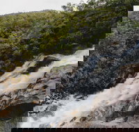 Davies Creek National Park and Dinden National Park - Maitland Accommodation