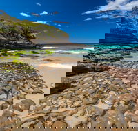 Dawsons Island Beach - Maitland Accommodation