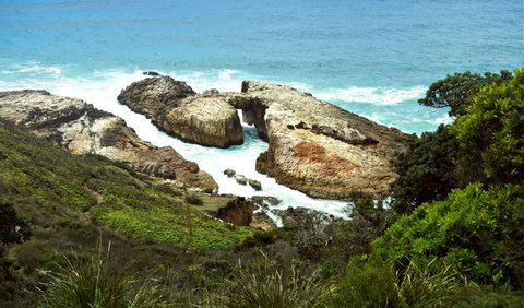 Diamond Head Loop Walk - Maitland Accommodation 0