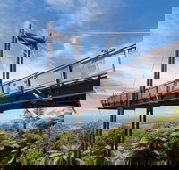 Forest Sky Pier Sealy Lookout - Maitland Accommodation