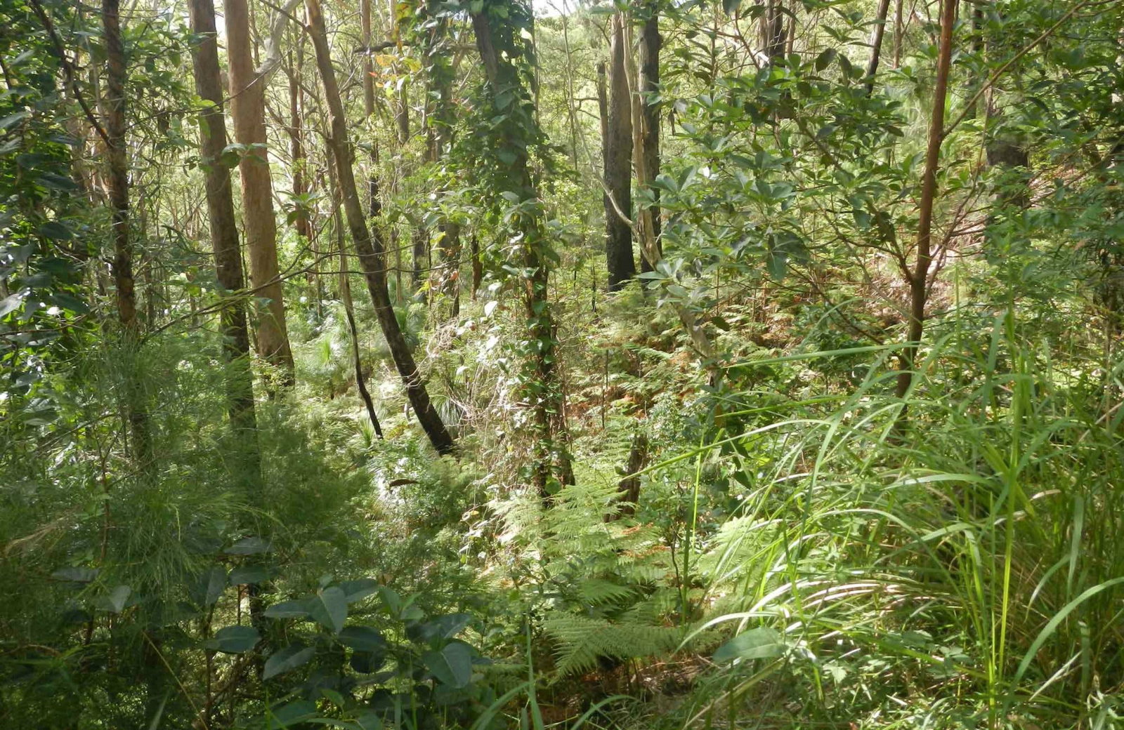 Arakoon NSW Maitland Accommodation