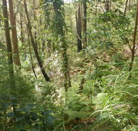 Gap Beach Walking Track - Maitland Accommodation