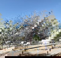 Gregory's Tree Timber Creek - Maitland Accommodation