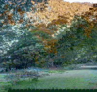 Griffins walking track - Maitland Accommodation