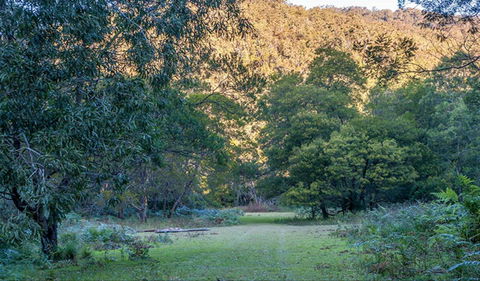 Griffins Walking Track - Maitland Accommodation 0