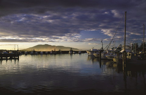 Gulaga National Park - Maitland Accommodation 1