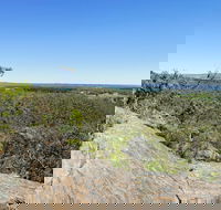 Hale Conservation Park - Maitland Accommodation