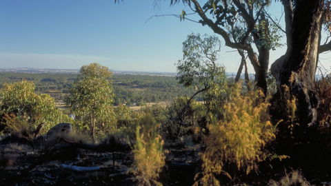 Heathcote-Graytown National Park - Maitland Accommodation 0