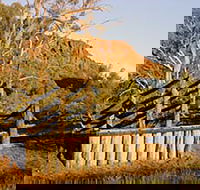 Illamurta Springs Conservation Reserve - Maitland Accommodation