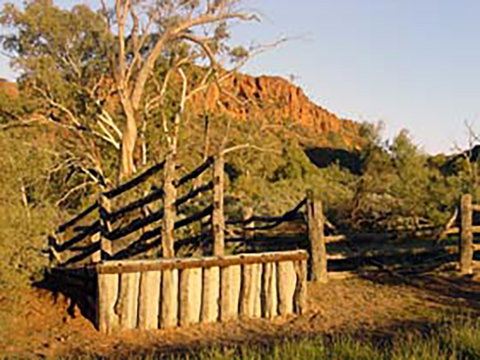 Illamurta Springs Conservation Reserve - Maitland Accommodation 0