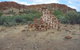 Illamurta Springs Conservation Reserve - thumb 1