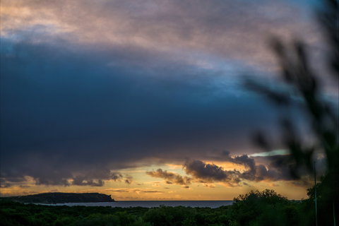 Innes National Park - Maitland Accommodation 2