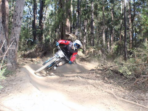 Jolly Nose Mountain Bike Park - Maitland Accommodation 0