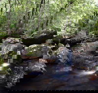Kangaroo River - Maitland Accommodation