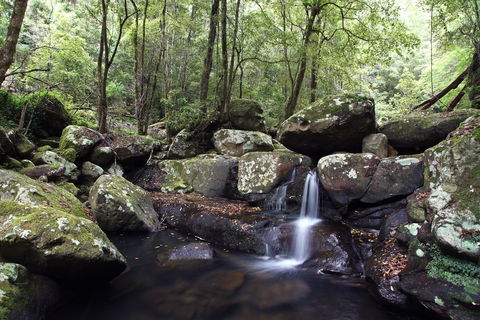 Kangaroo River - Maitland Accommodation 0