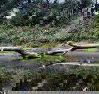 Kayaking Upper Tuross River and Bumbo Lake - Maitland Accommodation