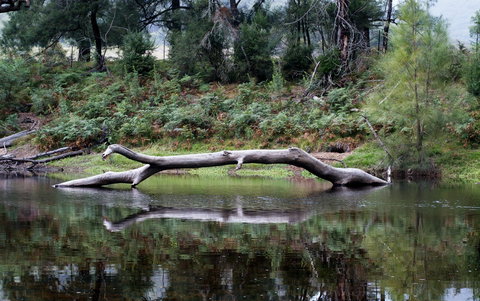 Kayaking Upper Tuross River And Bumbo Lake - Maitland Accommodation 0
