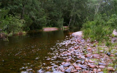 Kayaking Upper Tuross River And Bumbo Lake - Maitland Accommodation 1