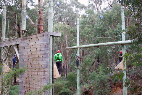 Kinglake Forest Adventures - Maitland Accommodation 1