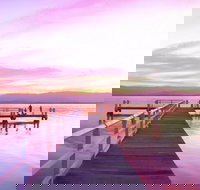 Lake Illawarra - Maitland Accommodation