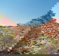 Lark Quarry Conservation Park - Maitland Accommodation