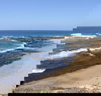 Little Shelley - Maitland Accommodation