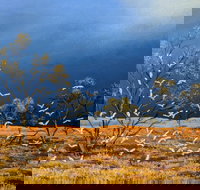 Lyn Barnes Gallery - Maitland Accommodation