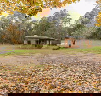 Major Clews Hut Walking Track - Maitland Accommodation