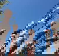 Mansfield Arts Walk - Maitland Accommodation