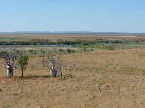 Marlgu Billabong - Maitland Accommodation 0