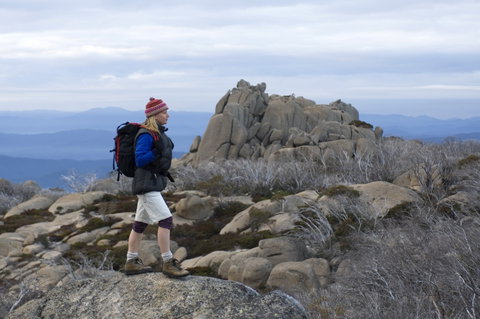 Mount Buffalo National Park - Maitland Accommodation 0