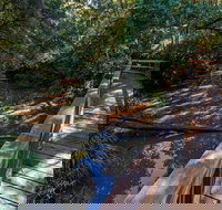 Ms Kellys Walking Track - Maitland Accommodation