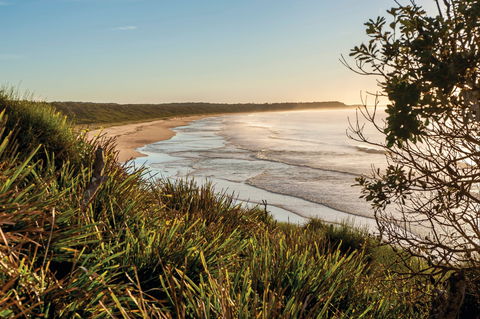 Murramarang National Park - Maitland Accommodation 0