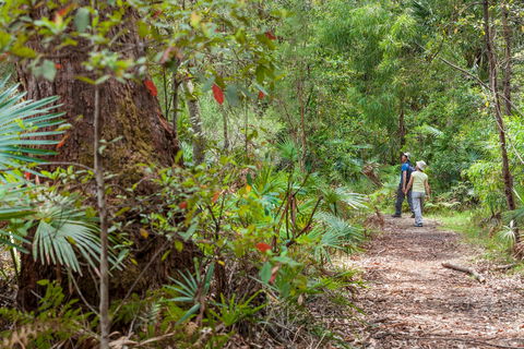 Murramarang National Park - Maitland Accommodation 1
