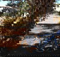 Murchison Rail Trail - Maitland Accommodation