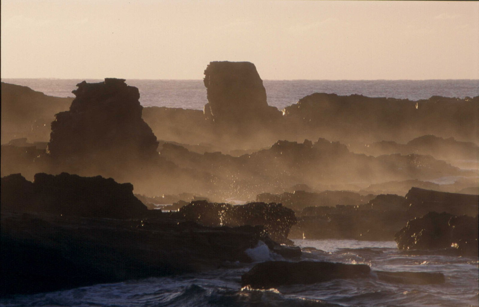 South Coast NSW Maitland Accommodation