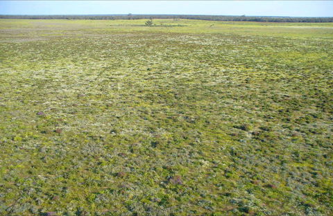 Nilla Yannagalang Billana - Maitland Accommodation 0