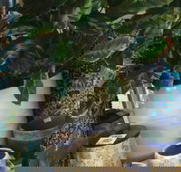 Noreen's Seaside Shop - Maitland Accommodation